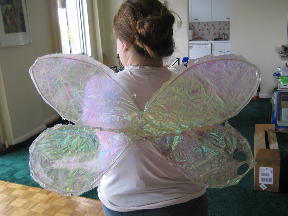 Diy Or My Thoughts On Fairy Wings Author Rachel Graves